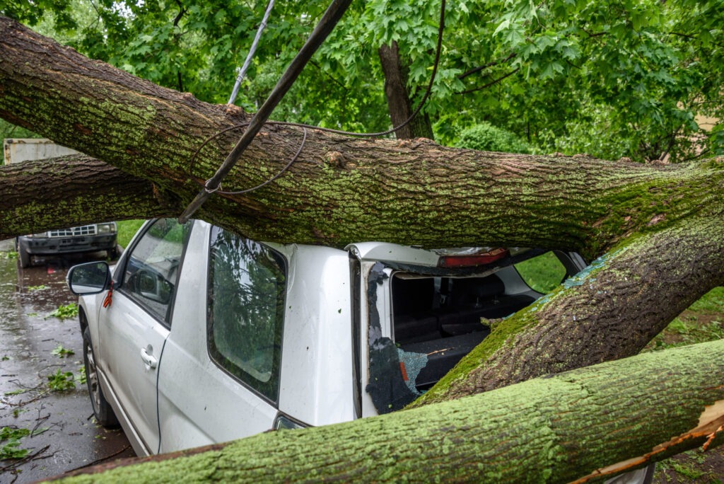 Gigantic fallen tree toppled and crushed parked car, broke the window and damage electrical cable as a result of the severe hurricane winds in one of courtyards of Moscow